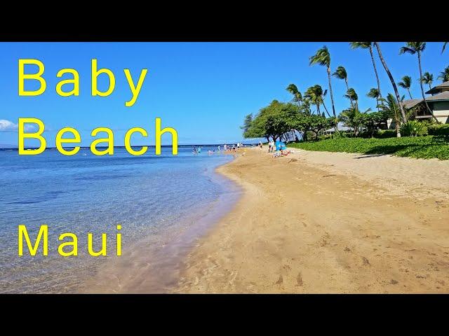 Baby Beach Lahaina Maui #1 Family Beach. Awesome Sunsets! Calm Waters