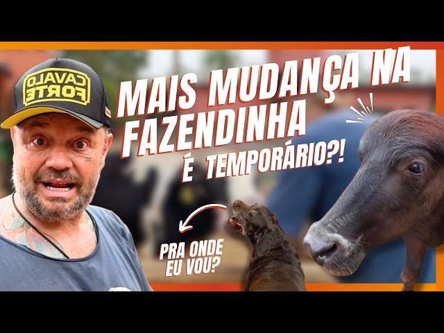 MAIS MUDANÇAS NA FAZENDINHA! | A CASA DOS BICHOS