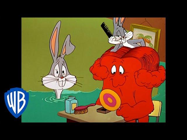 Looney Tunes | Let's Give Gossamer a Hairdo | Classic Cartoon | WB Kids