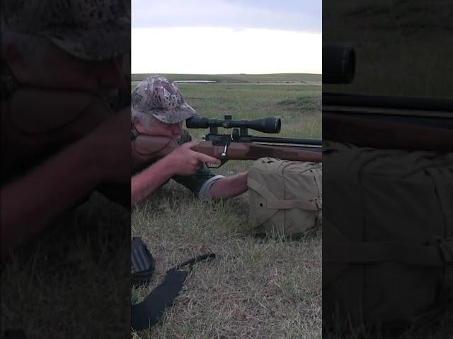 Prairie dog pest control with the Hatsan Hydra air rifle