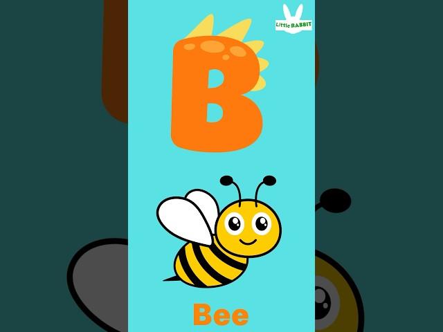 Learning B For Bee