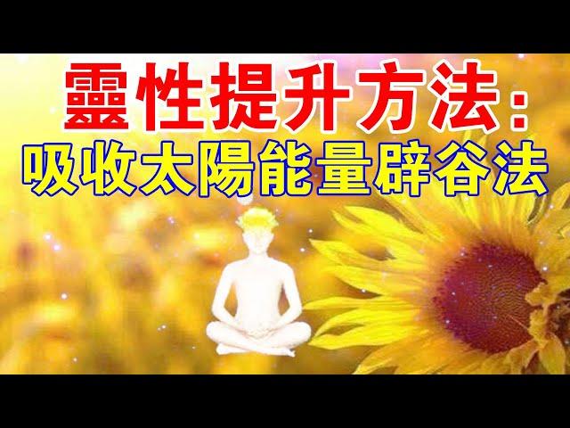 靈性提升方法：吸收太陽能量辟穀法！有人疾病不治而愈？