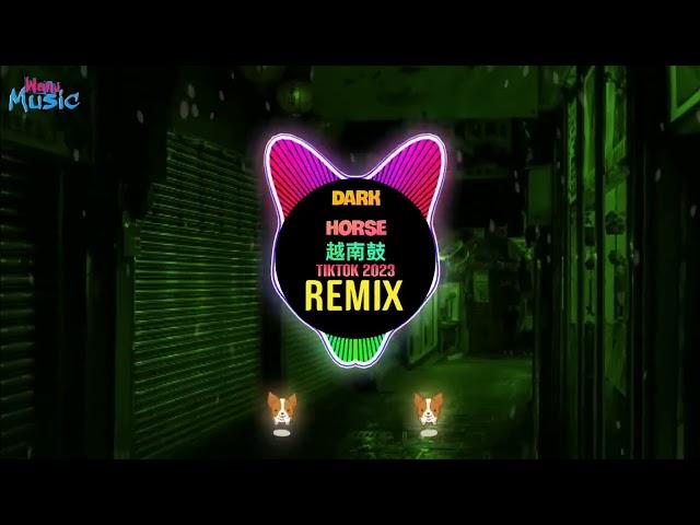 Dark Horse 越南鼓 (RinV x VAnh Remix Tiktok 2024)