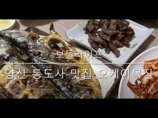 [보들라이프] 양산 통도사 맛집 오케이목장