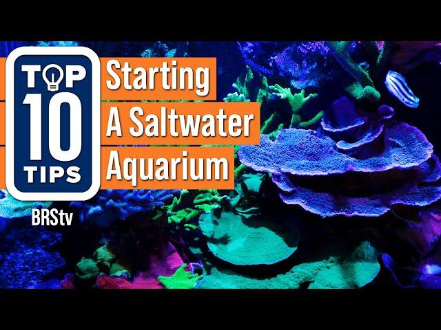 Top Simple Beginner Tips For Starting A Saltwater Reef Aquarium Setup