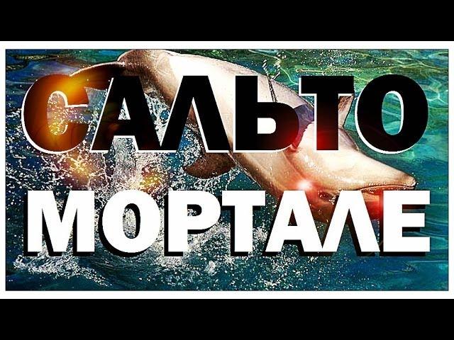 Галилео. Сальто-мортале