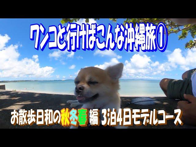 A trip like this with a dog Autumn/Winter/Spring model course [Okinawa trip] [Dog] [Pets allowed]