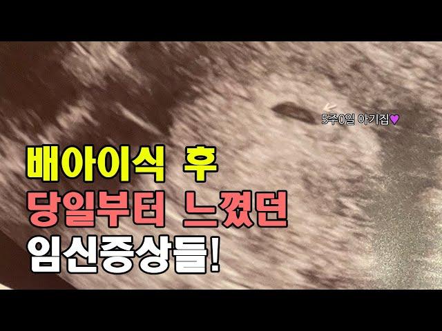 5일배양 이식 후 느꼈던 임신증상![시험관 이식 1차 성공]