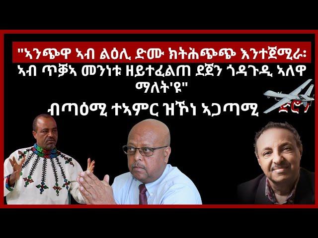 " ኣንጭዋ ኣብ ልዕሊ ድሙ ክትሕጭጭ እንተጀሚራ፡ኣብ ጥቓኣ መንነቱ ዘይተፈልጠ ደጀን ጎዳጉዲ ኣለዋ ማለት'ዩ"