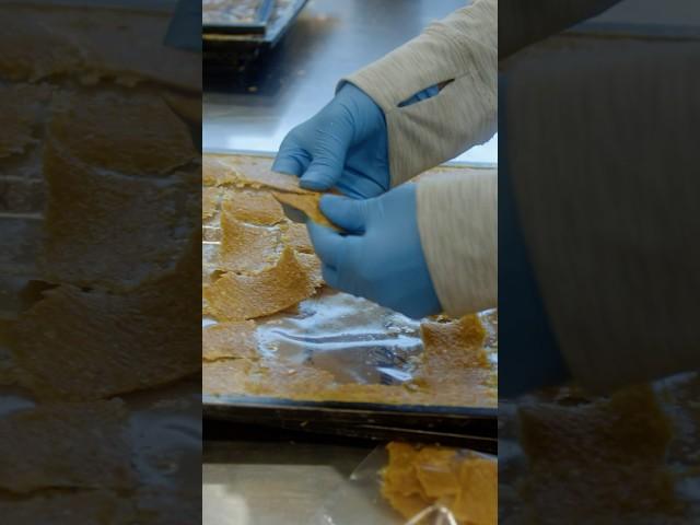 Severe Heart Disease Calls for a Precise, Definitive Food Prescription