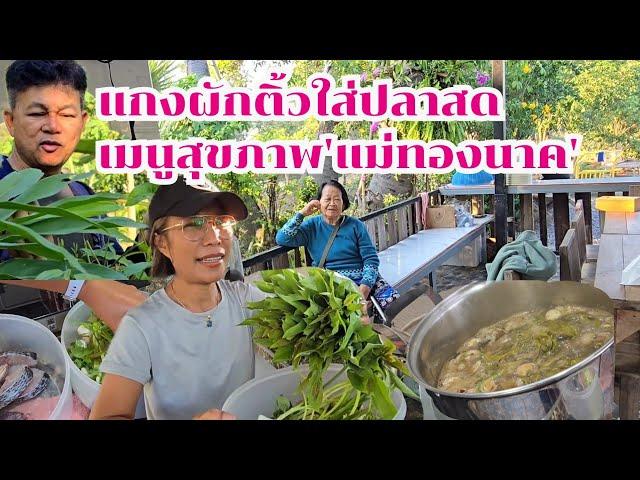 แกงผักติ้วใส่ปลาสดเมนูสุขภาพแม่ทองนาค#บ้านสวนกำภูEp1224