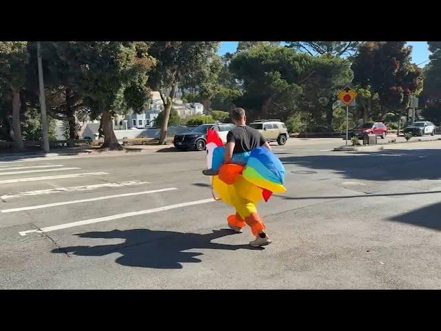 SFPD officer wears chicken costume as decoy to ticket drivers