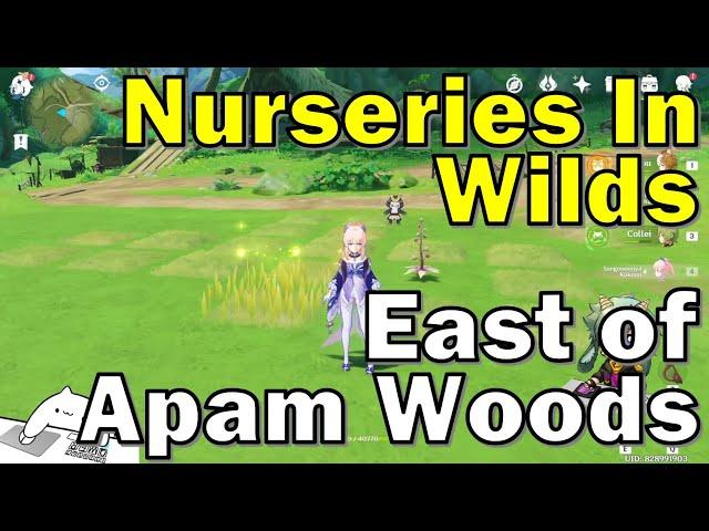 Walkthrough For Nurseries In The Wilds At East of Apam Woods