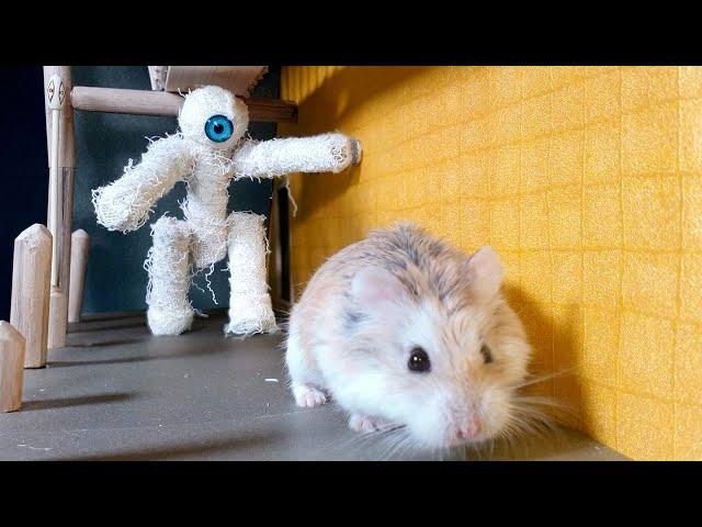 MAJOR HAMSTER vs MUMMY - Pyramid TREASURE HUNT