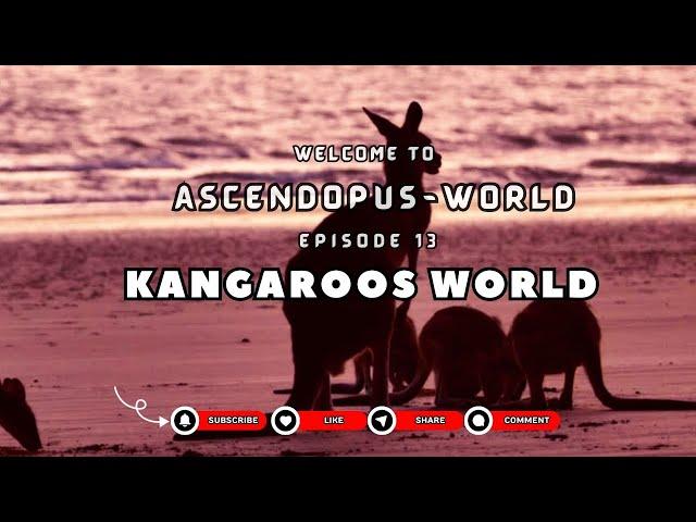 Episode 13: Creatures of Earth  I Kangaroo World I @Ascendopus-World