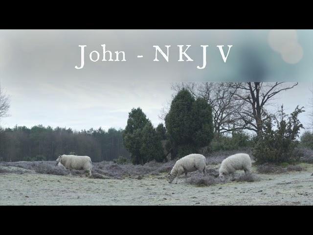 The Book of John - New King James Version (NKJV) - Audio Bible