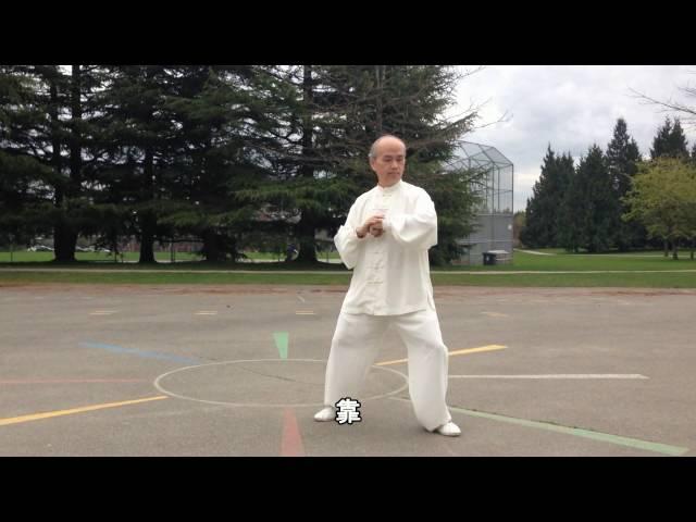 13式太極拳正向慢動作 (2015.03.27) 13 Form Tai Chi Slow moving (Front View)