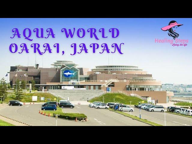 Aqua World Oarai, Japan | Healing Steps