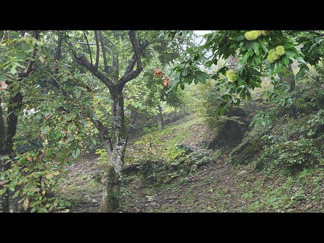 LIVE - Appennino sotto al diluvio