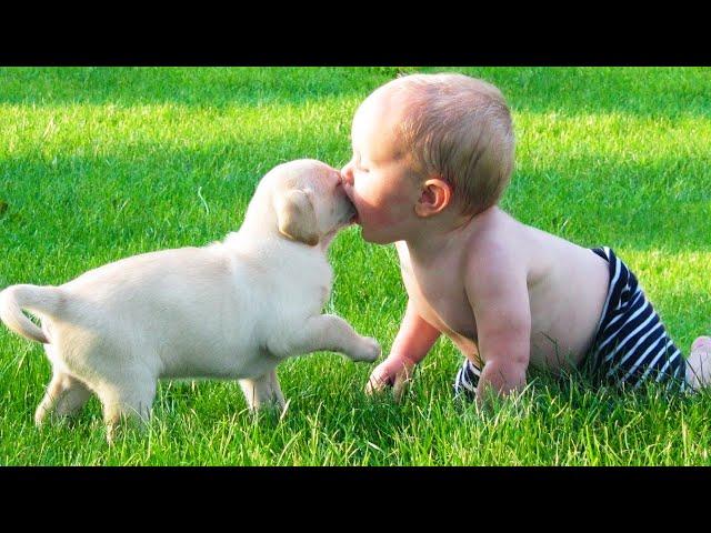 HILARIOUS Babies Playing With Pets Compilation - Funny Baby Videos || Cool Peachy