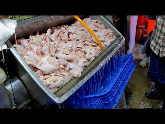 Best Fried Chicken in Northern Taiwan! Chicken Cutlet, Drumstick, Wing炸雞排,雞腿,雞翅製作-Taiwan Street Food