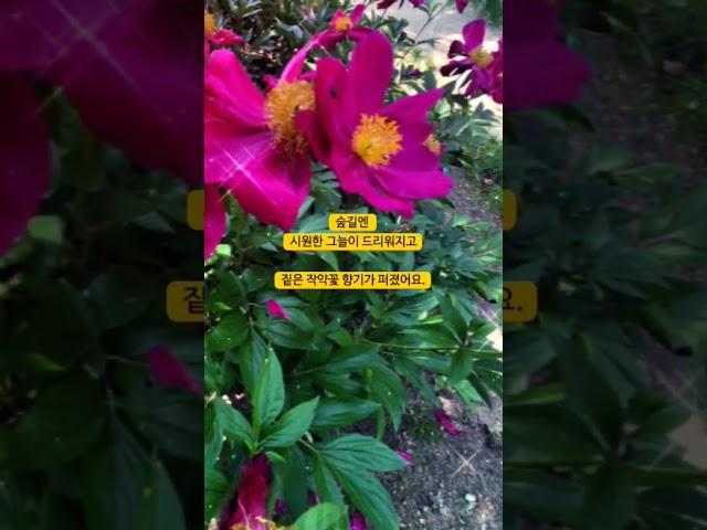길동 생태공원 #국내여행 #강동구청 #길동 #길동생태공원 #둔촌동프라자아파트 #올림픽파크포레온