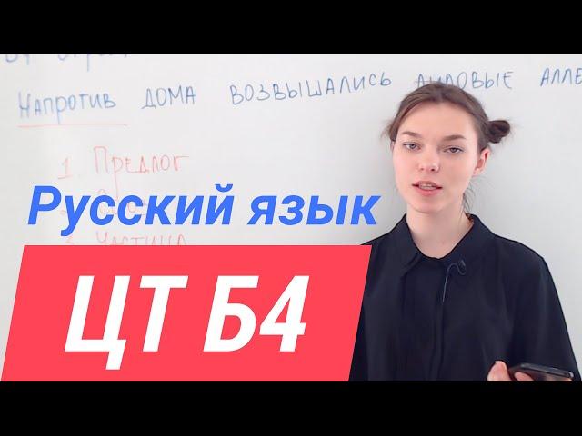 ЦТ В4. Служебные части речи