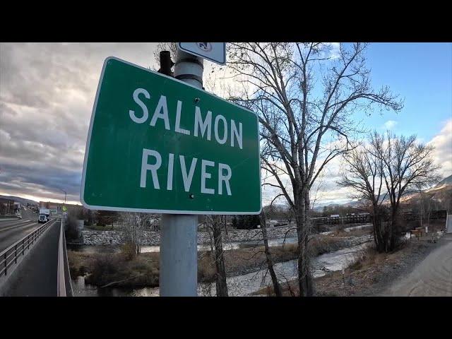 2024 IDAHO STEELHEAD RETURNS IN SALMON