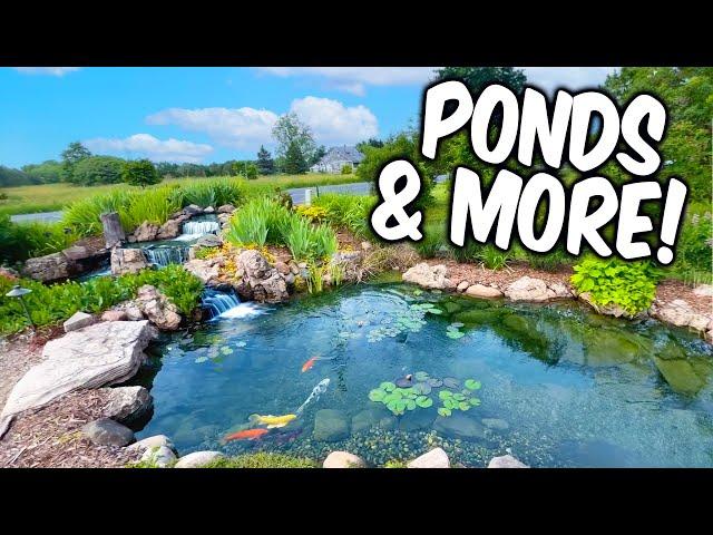 INCREDIBLE Pond Retail Store
