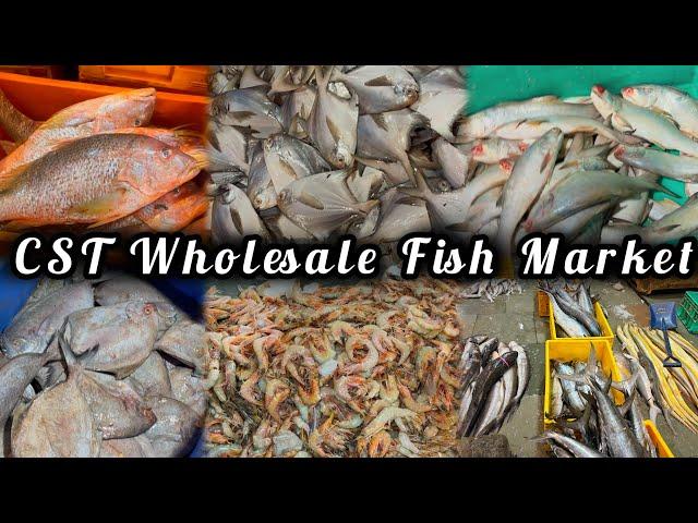 CST Fish Market Mumbai | Wholesale Fish Market Cst |