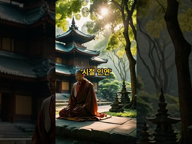 인연 #불교 #불교용어 #불교이야기 #불교입문 #불교지식 #시절인연 #불교용어