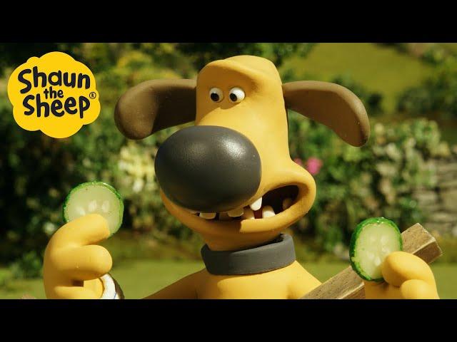 Shaun the Sheep  Bitzer Relaxing?! - Cartoons for Kids  Full Episodes Compilation [1 hour]