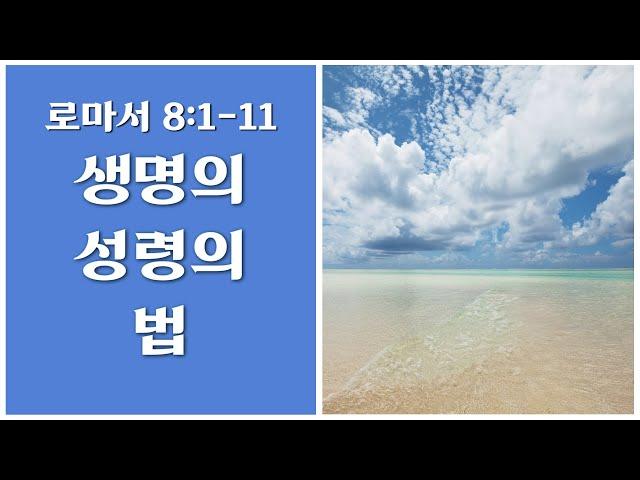 [생명의 삶 큐티]생명의 성령의 법/로마서8:1-11 20200807 #로마서 #큐티 #QT #생명의삶