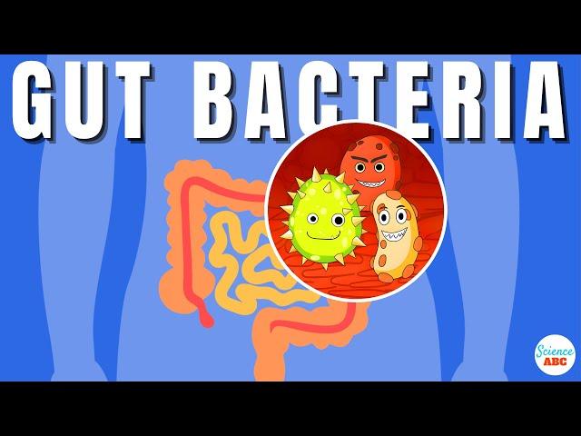 Gut Microbiome Explained in Simple Words