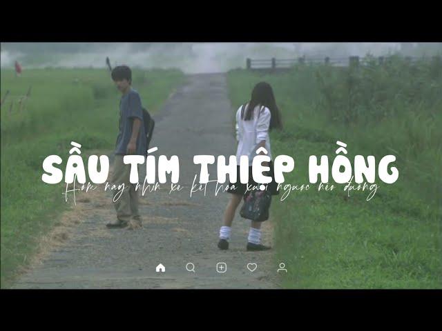 Sầu Tím Thiệp Hồng, Lời Tỏ Tình Ong Bướm, Gõ Cửa Trái Tim | Playlist Nhạc Bolero Lofi Chill KProx 16