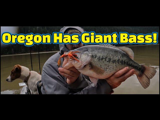 Oregon Bass Kayak Fishing PRESPAWN March 2024 I Catch a 6 1/2 Pound Bass with Rudy!