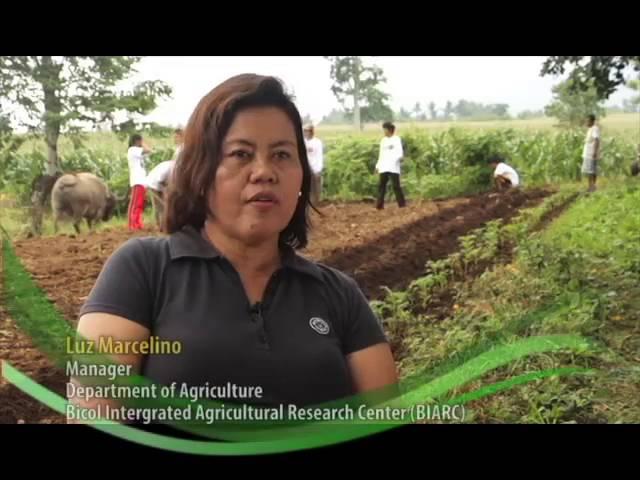 Diversified Organic Farming with Seed Enhancement System