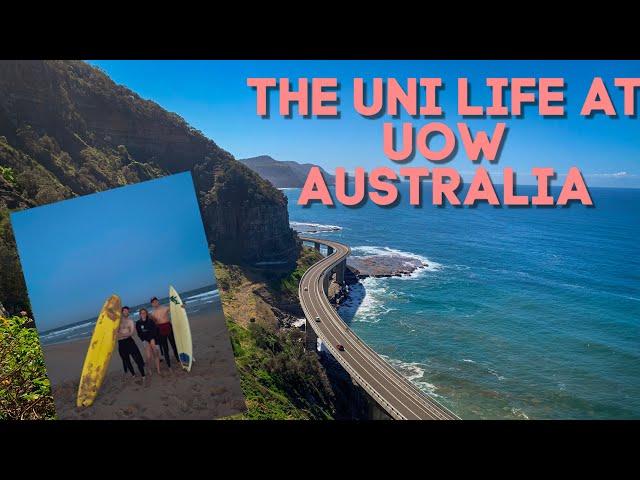 Uni life at UOW // Study abroad Wollongong, Australia