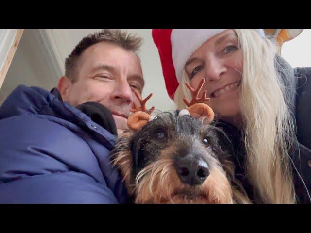 Dachshund Teddy the cookie-loving reindeer 