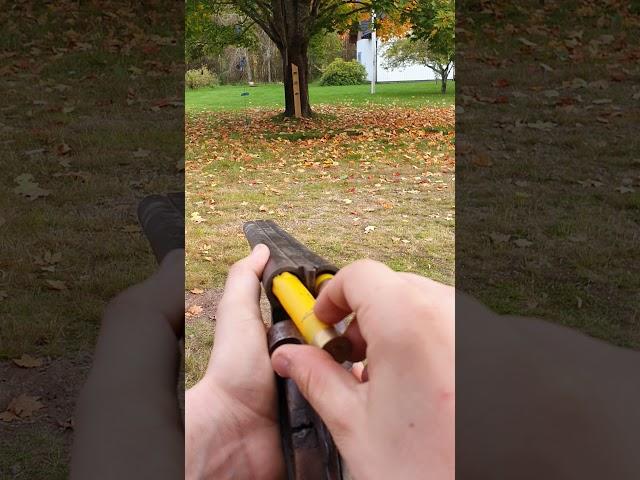 Double Barrel Shotgun 20g