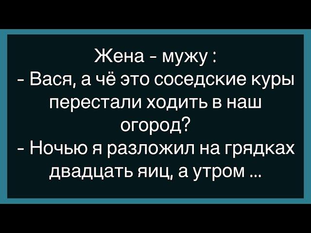 Как Папа С Сыном Играли В Прятки!Сбоорник Свежих Анекдотов!Юмор!Настроение!