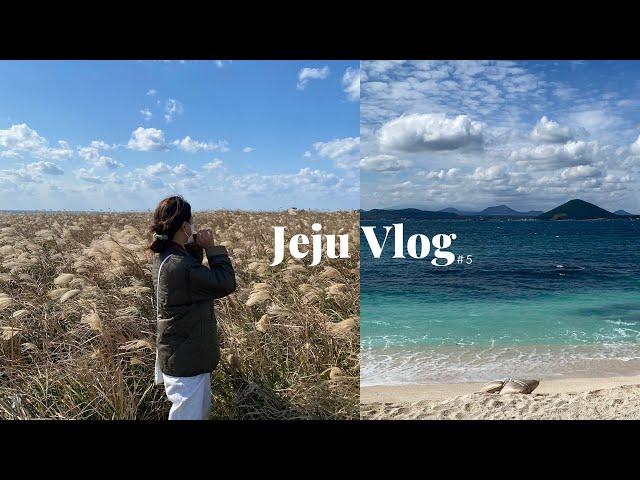 [VLOG]제주 여행 브이로그 | 제주한달살이 #5 | 우도, 마라도 | 우도정원, 로뎀가든, 비양도, 달콤아재, 마라도짜장면, 최남단비, 사사일, 미영이네 |제주맛집|제주카페