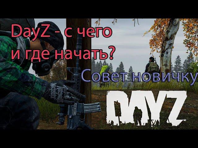 Как и где начать играть в Dayz в 2024 году. Сервер Тишина Городов. Советы новичкам и главные ошибки.