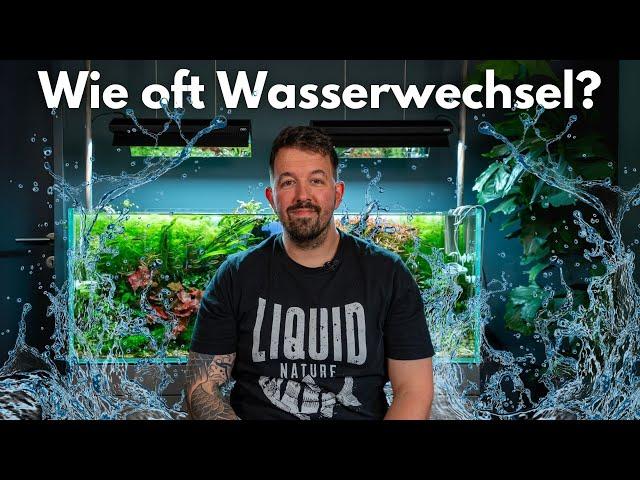 Wie oft Wasserwechseln im Aquascape?