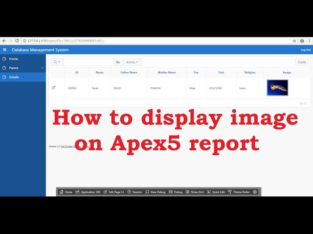 How to display image on Report | Apex5