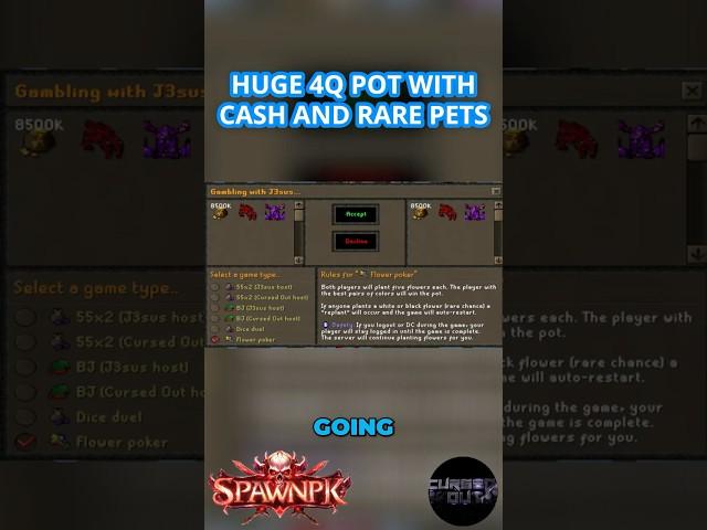 HE STAKED HIS 850 TRILLION GP CASH STACK?! #gaming #SpawnPK #rsps #osrs #runescape #spk