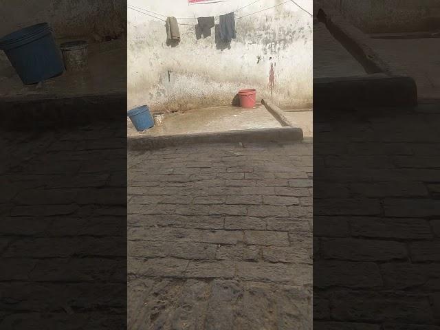 Village tour #travelvlog #villagelife