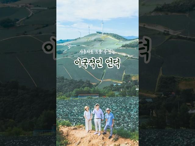 자동차로 오를 수 있는 시원한 언덕이 있다?! #국내여행 #국내여행지추천