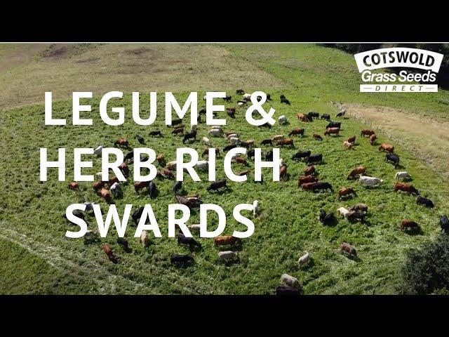 Legume & Herb Rich Swards with Stuart Johnson: Soil Farmer of the Year