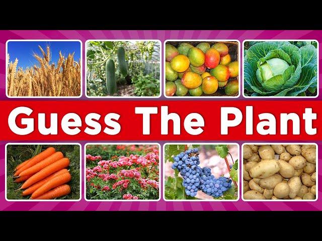  Guess the Plant Quiz for Kids: Fun Nature Game